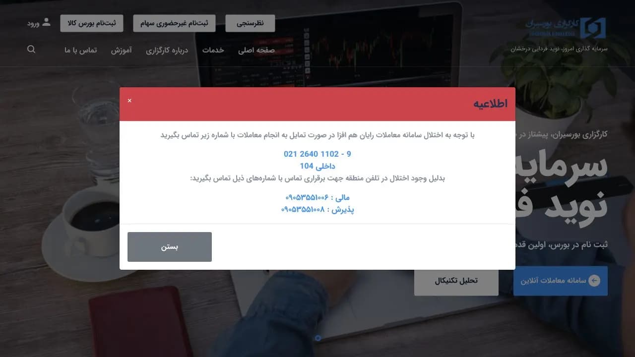 نمای سایت کارگزاری بورسیران